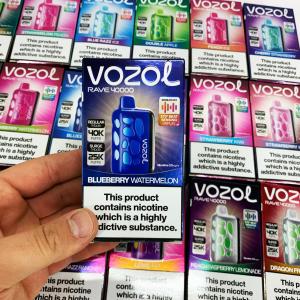 Vozol Rave 40000. Чорниця Кавун (Blueberry Watermelon)
