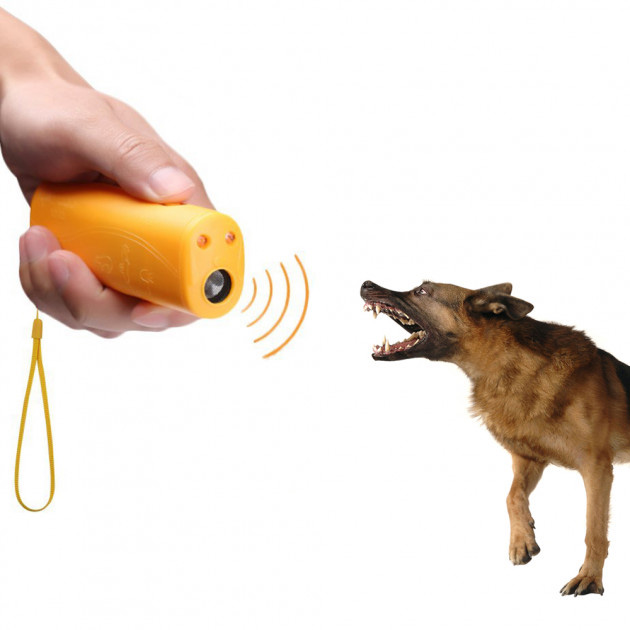 qwdasewasdwads